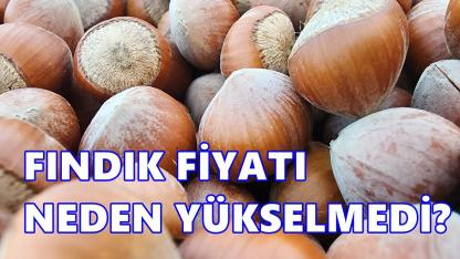 Fındıkta Beklenen Artış Gelmedi: Şubat Bitiyor, Fiyat Yerinde Sayıyor