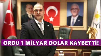 “Fındıkta Büyük Operasyon Var, Ordu 1 Milyar Dolar Kaybetti”