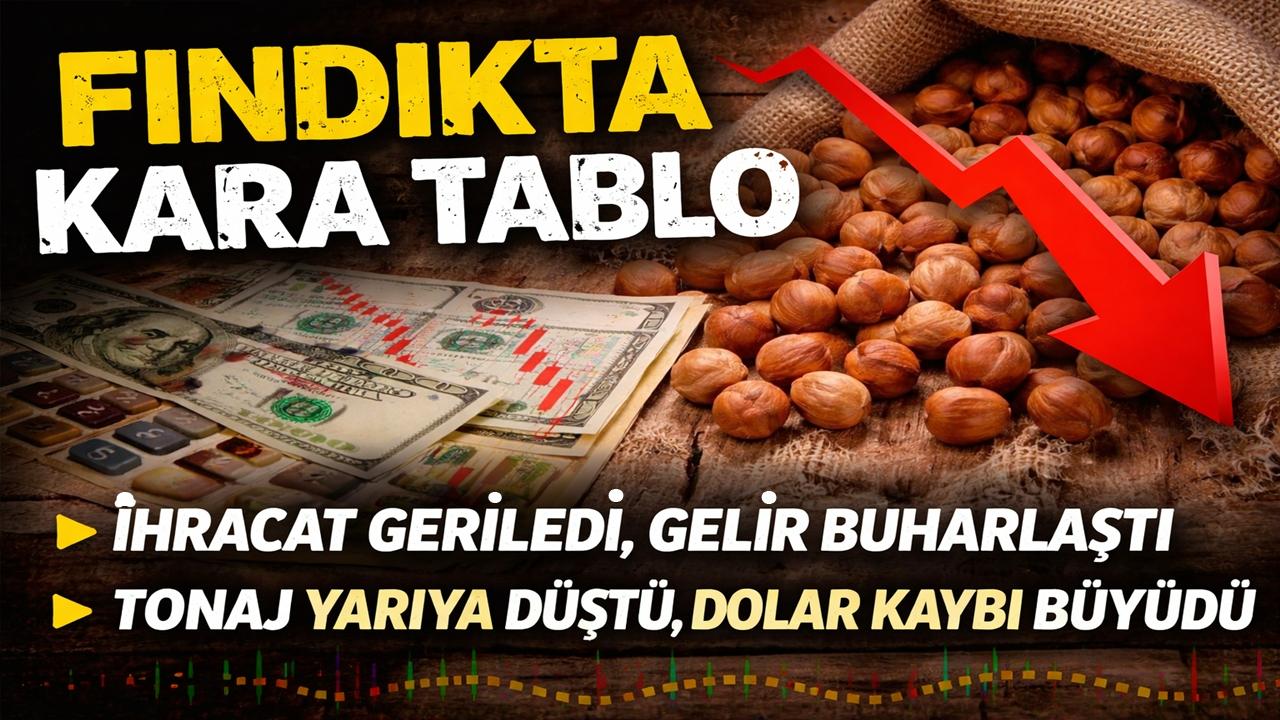 Fındıkta Kara Tablo: Türkiye'nin Kazandığı Döviz Azaldı