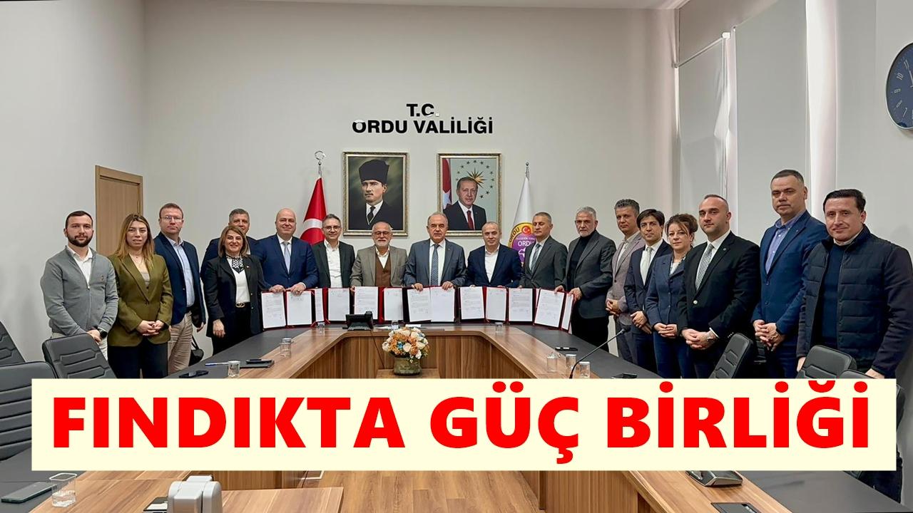 Fındıkta Katma Değer İçin Güç Birliği
