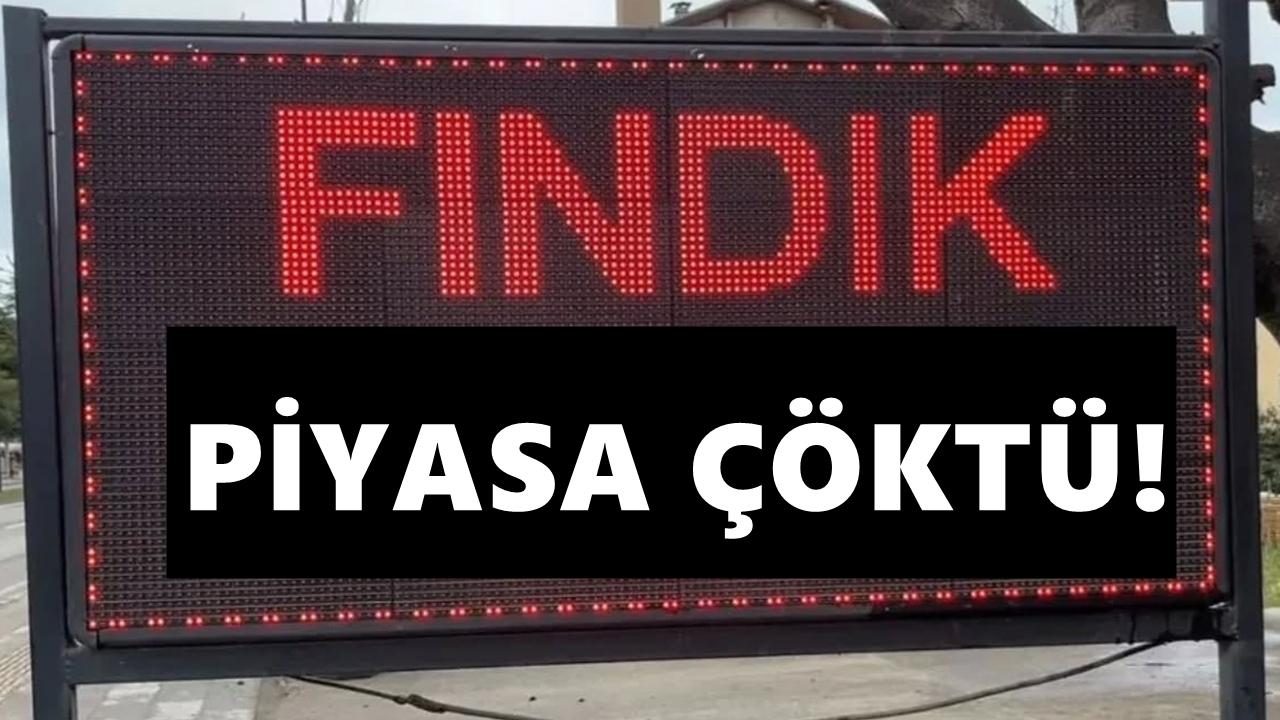 Fındıkta Kirli Oyun! Fiyatlar Dibe Vurdu; Ton Başına Zarar 120 Bin TL