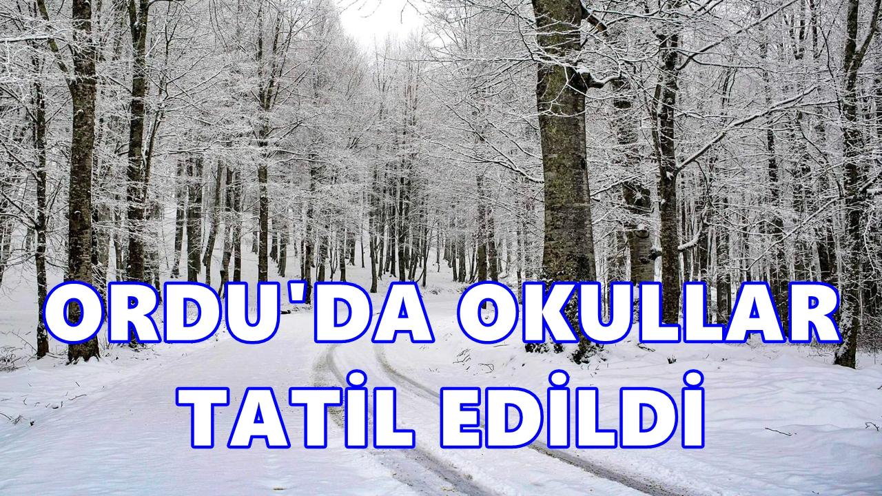 Ordu Valiliği Tatil Olan Okulları Açıkladı