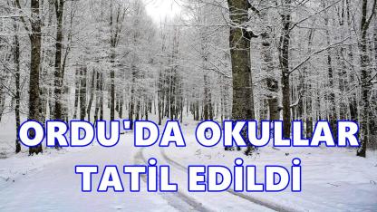 Ordu Valiliği Tatil Olan Okulları Açıkladı