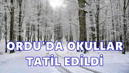 Ordu Valiliği Tatil Olan Okulları Açıkladı