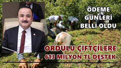 Ordulu Çiftçilere 613 Milyon TL Destek! Ödeme Günleri Belli Oldu