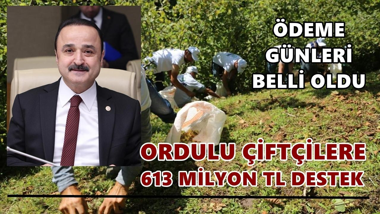 Ordulu Çiftçilere 613 Milyon TL Destek! Ödeme Günleri Belli Oldu