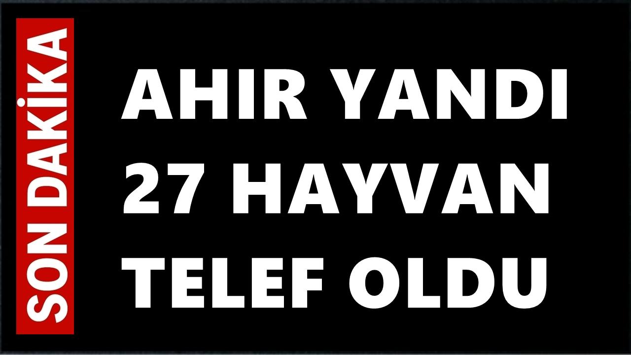 Ünye’de Ahır Yangını: 27 Büyükbaş Hayvan Telef Oldu