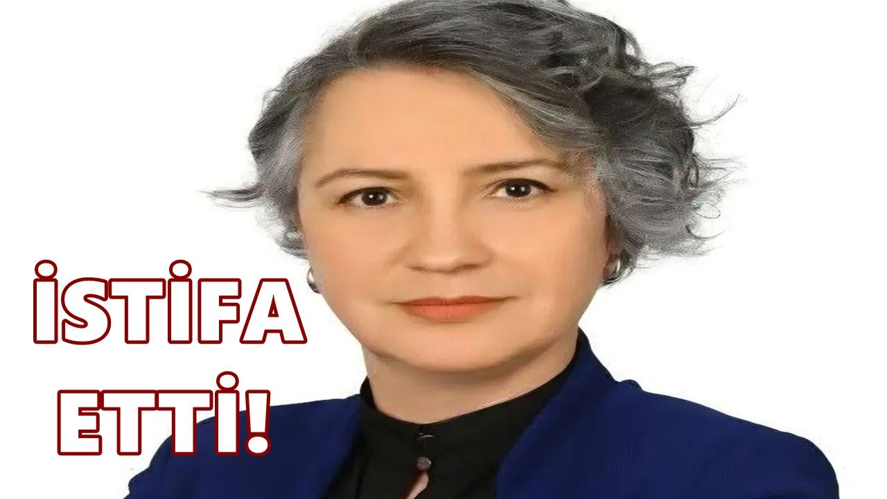 Zafer Partisi Ordu İl Başkanı Bahar Güneyli Yılmaz Görevinden İstifa Etti