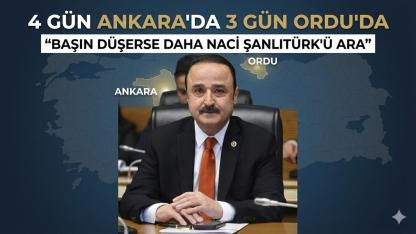 “Başın Düşerse Dara Naci Şanlıtürk’ü Ara” Sloganı Gerçeğe Dönüştü