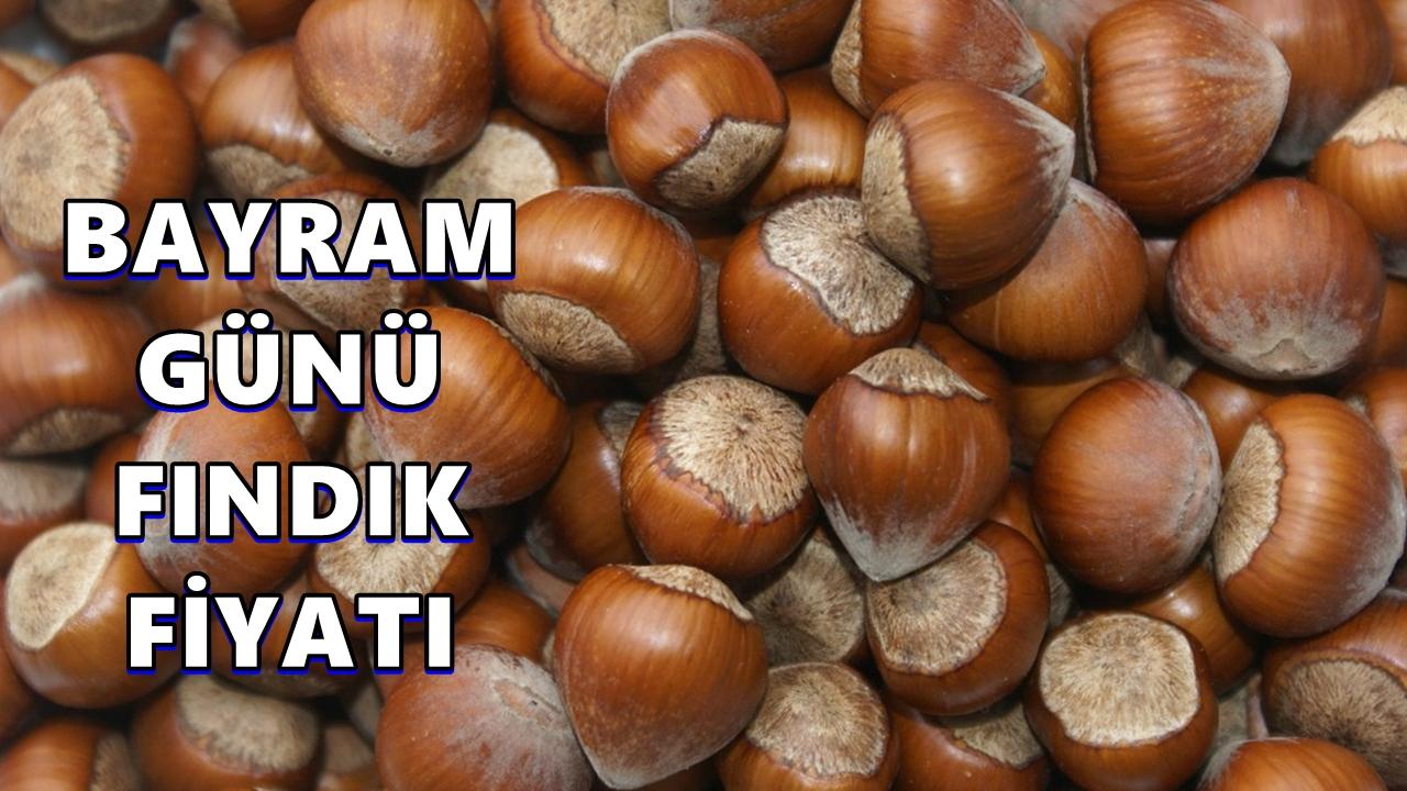 Bayramın İlk Günü Fındık Fiyatı 20 Mart 2026 Cuma