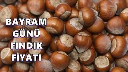 Bayramın İlk Günü Fındık Fiyatı 20 Mart 2026 Cuma
