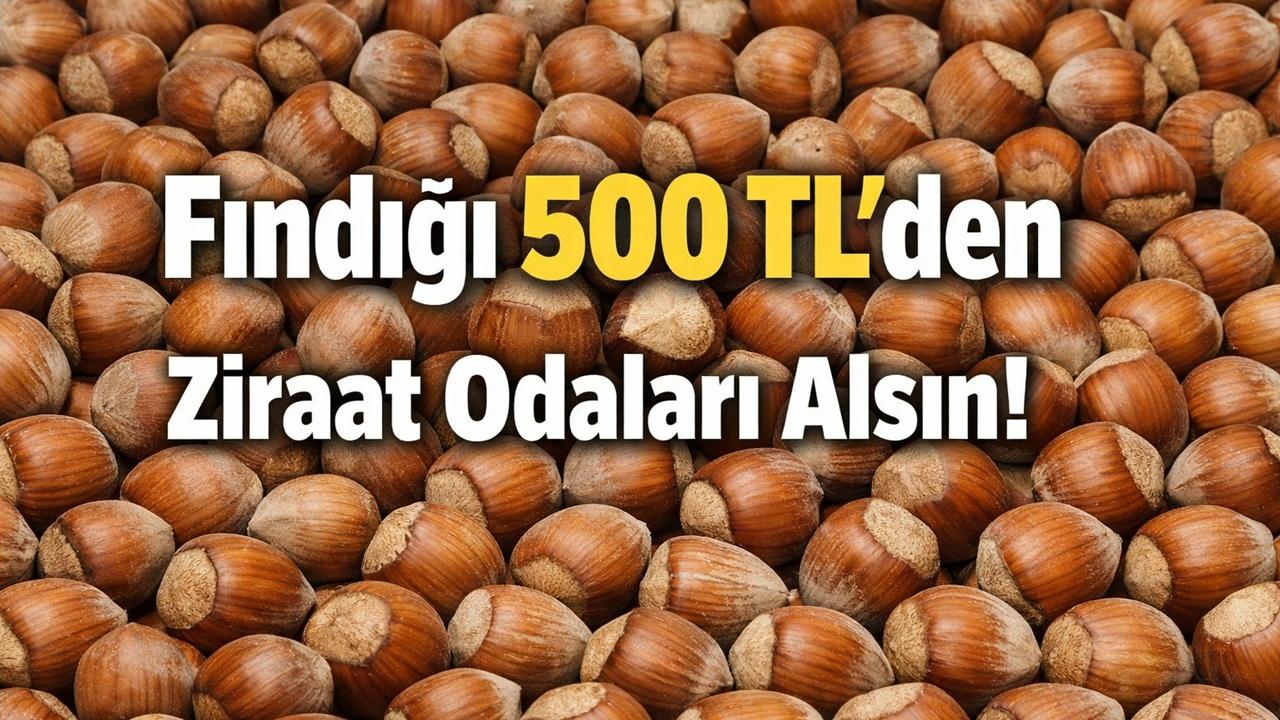 Fındığı 500 TL’den Ziraat Odaları Alsın!