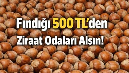 Fındığı 500 TL’den Ziraat Odaları Alsın!