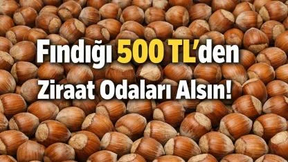 Fındığı 500 TL’den Ziraat Odaları Alsın!