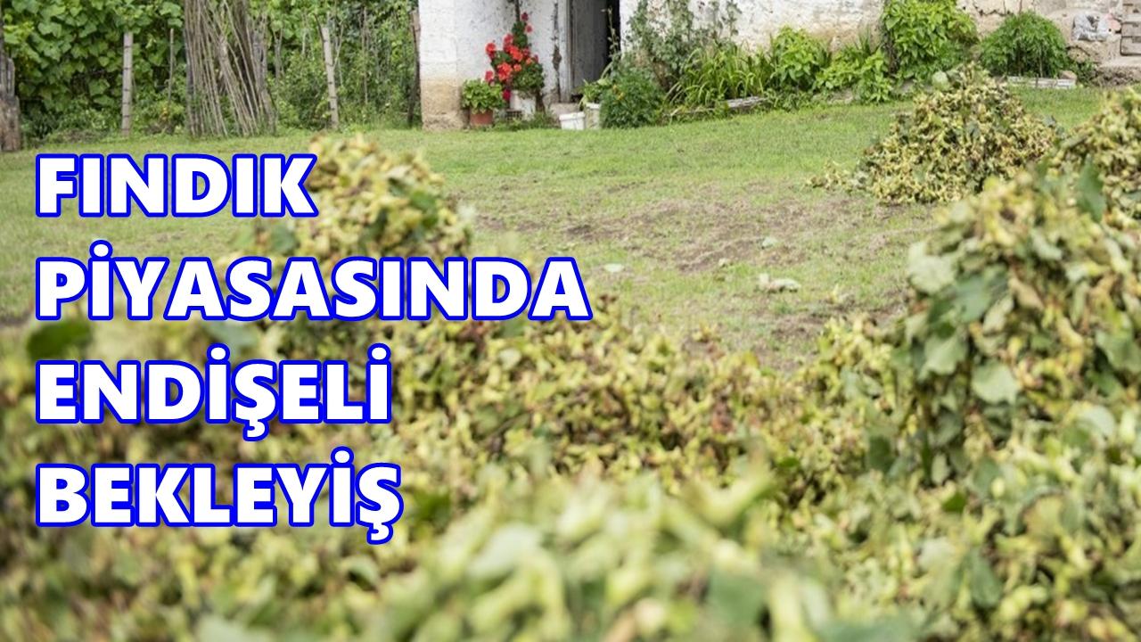 Fındık Fiyat 3 Mart 2026 Salı