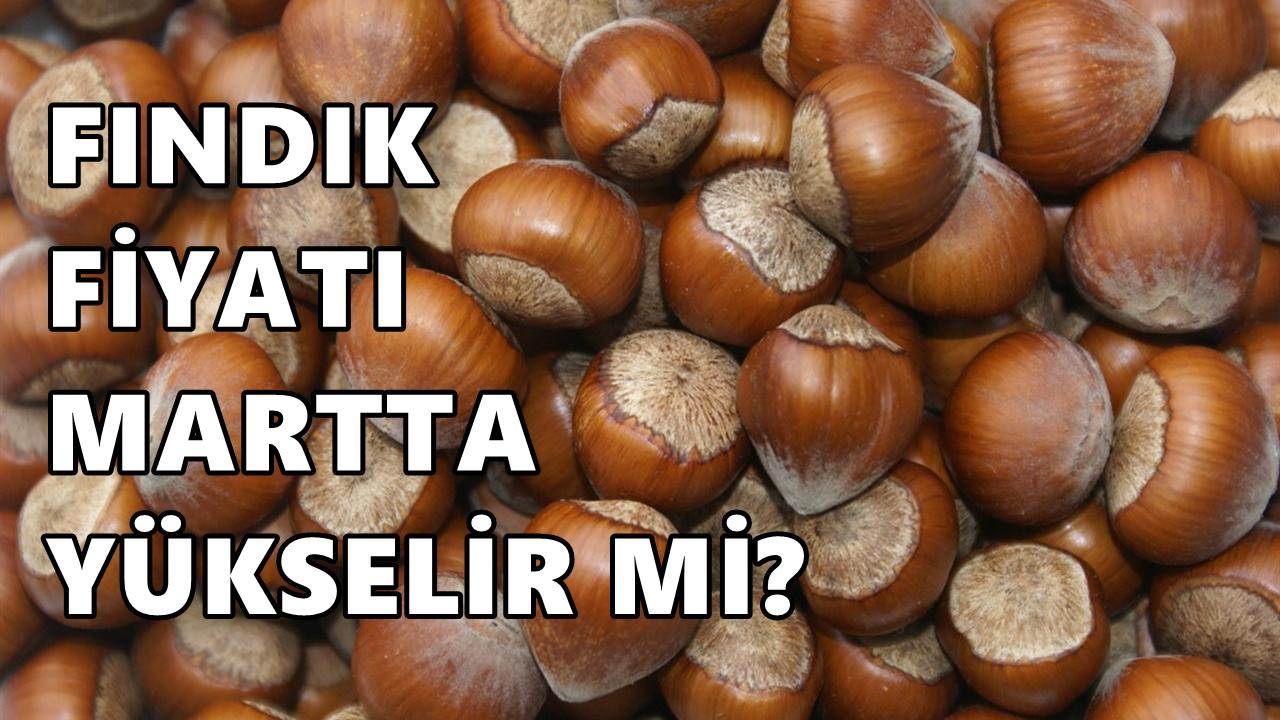 Fındık Fiyatı 1 Mart 2026 Pazar