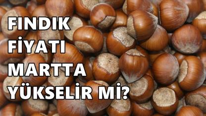 Fındık Fiyatı 1 Mart 2026 Pazar