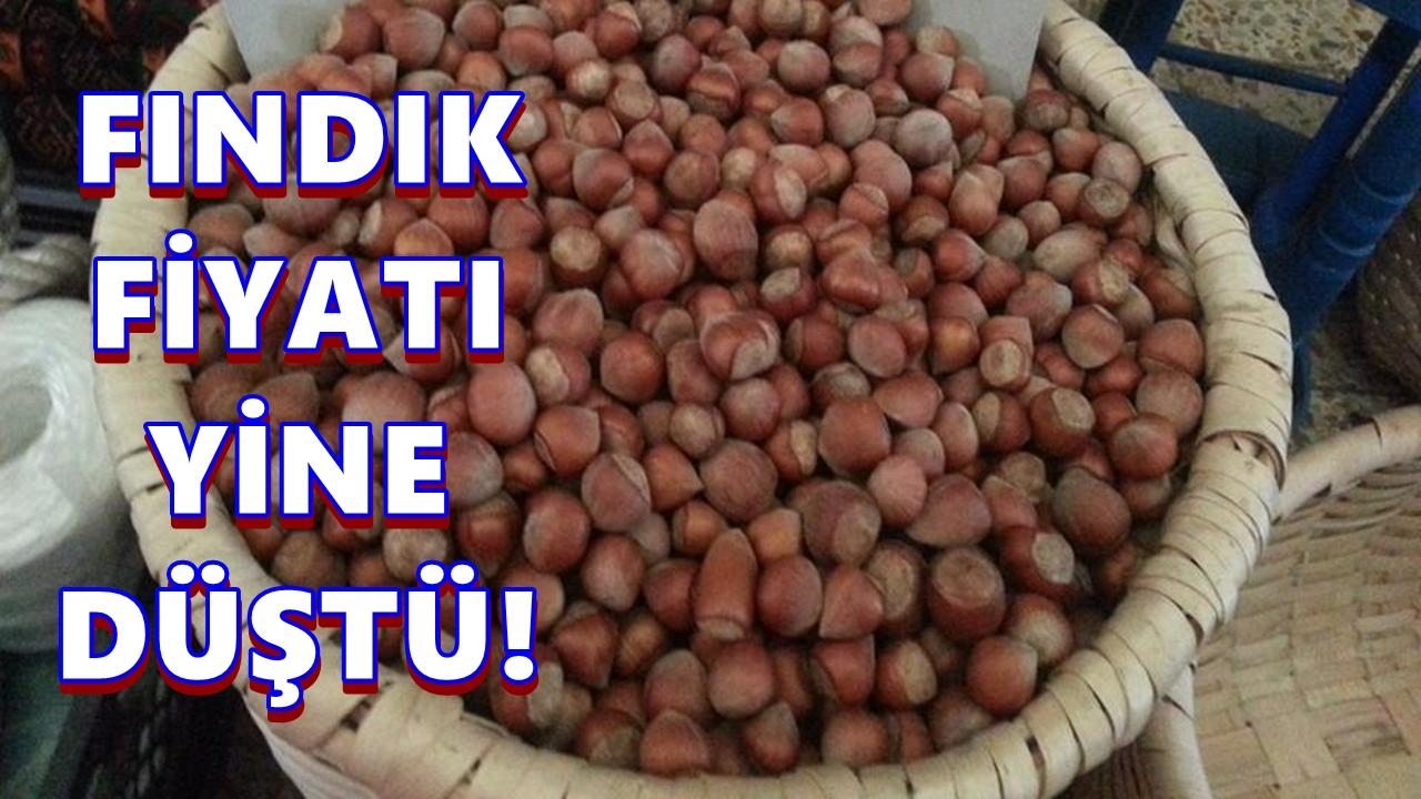 Fındık Fiyatı 10 TL Düştü; Fındık Fiyatı 18 Mart 2026 Çarşamba
