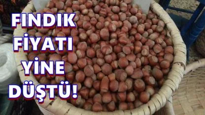 Fındık Fiyatı 10 TL Düştü; Fındık Fiyatı 18 Mart 2026 Çarşamba