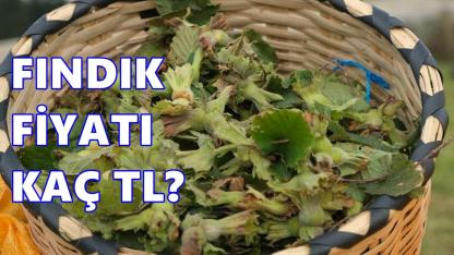 Fındık Fiyatı 13 Mart 2026 Cuma