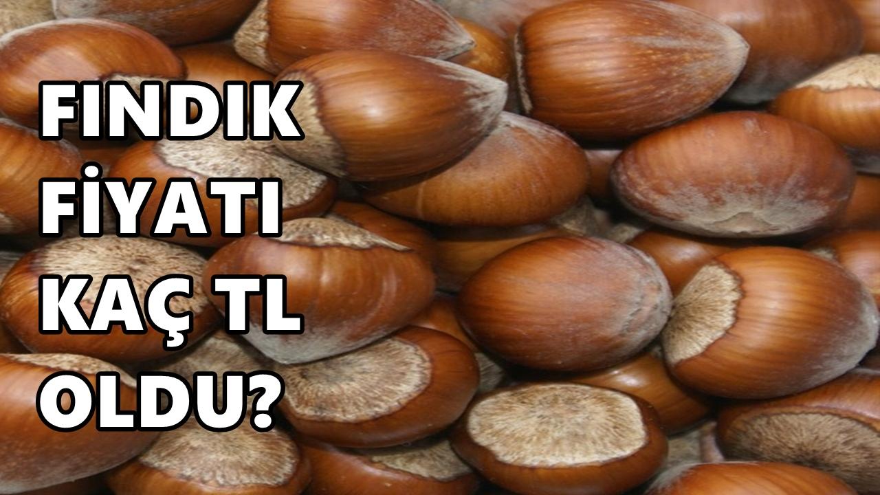 Fındık Fiyatı 24 Mart 2026 Salı