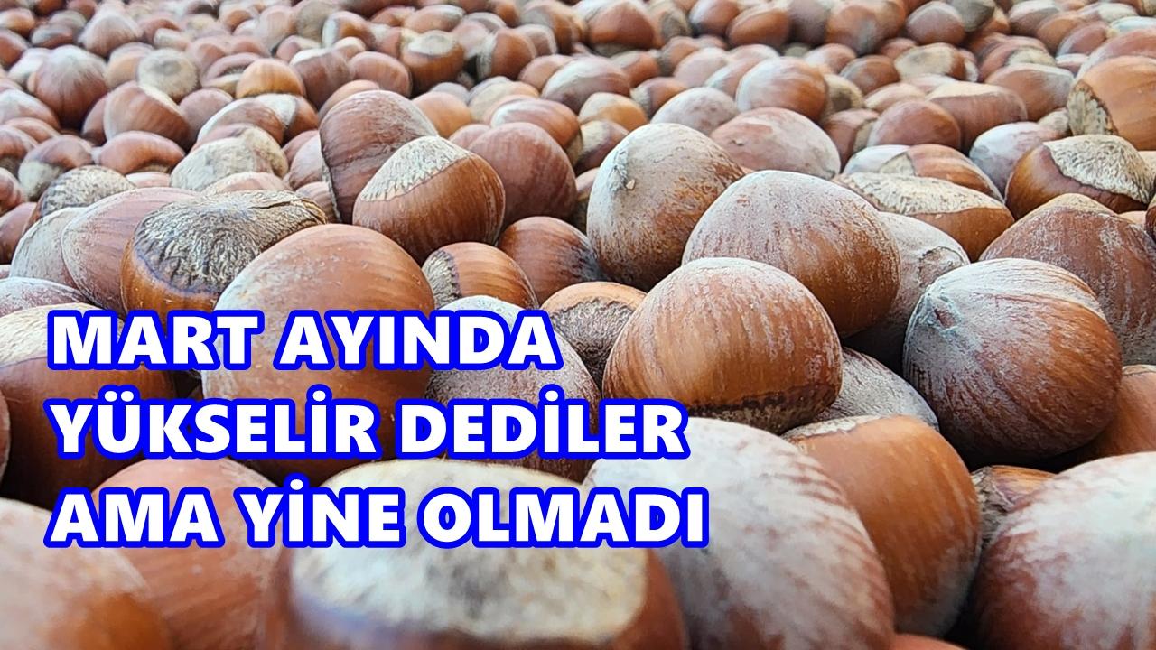 Fındık Fiyatı 29 Mart 2026 Pazar