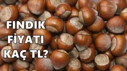 Fındık Fiyatı 30 Mart Pazartesi Günü Kaç TL Oldu?