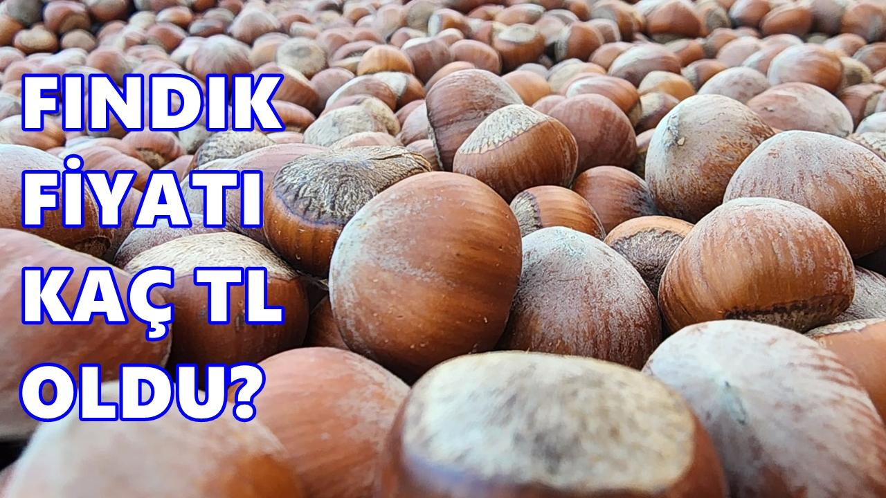 Fındık Fiyatı 4 Mart 2026 Çarşamba