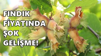 Fındık Fiyatı 5 Mart 2026 Perşembe