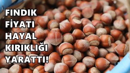 Fındık Fiyatı 8 Mart 2026 Pazar