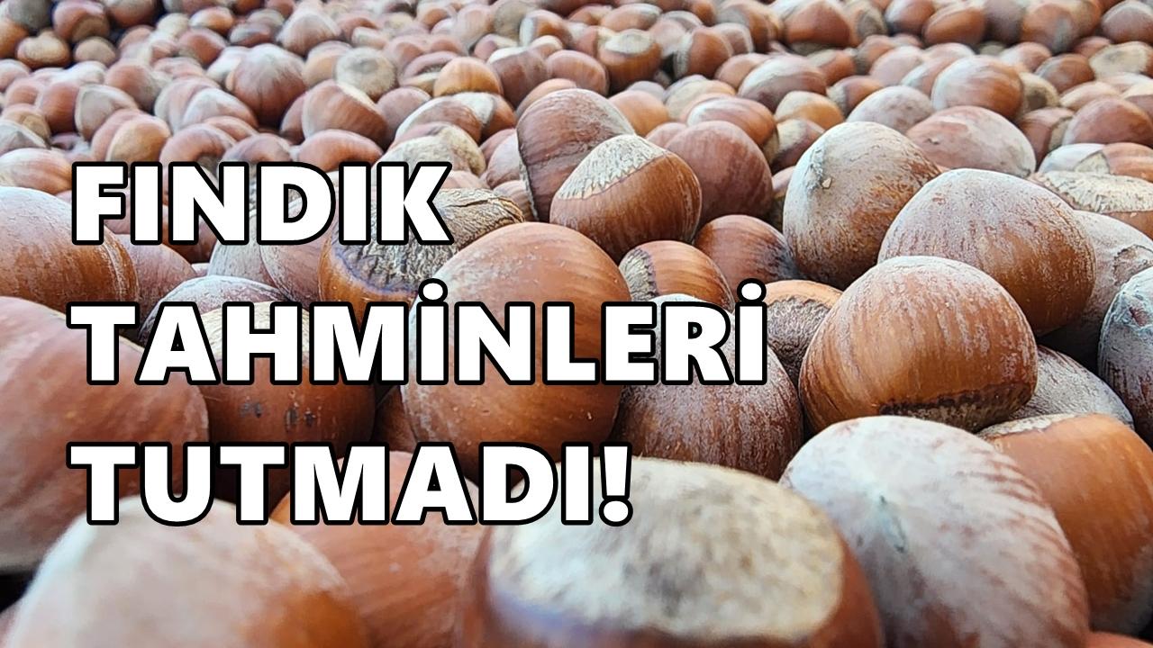 Fındık Fiyatı 9 Mart 2026 Pazartesi