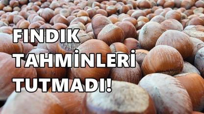 Fındık Fiyatı 9 Mart 2026 Pazartesi