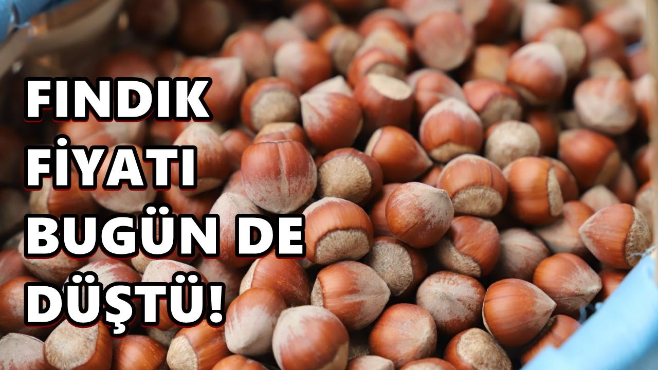 Fındık Fiyatı Güne Düşüşle Başladı: Fındıkla Kim Oynuyor?