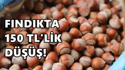 Fındık Fiyatında Düşüş 150 TL'yi buldu: 26 Mart 2026 Perşembe