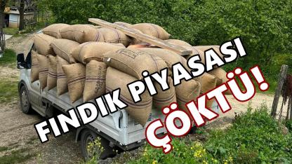 Fındık Piyasası Çöktü: Fiyatlar 7 Ay Öncesine Döndü