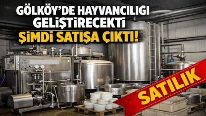 Gölköy'de Hayvancılığı Geliştirecekti Şimdi Satışa Çıktı