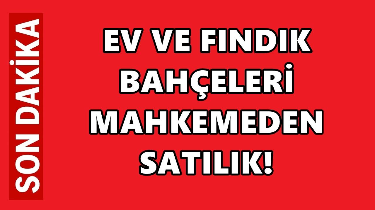 Kumru’da 6 Taşınmaz İcradan Satışa Çıkarıldı