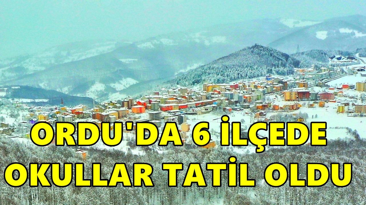 Ordu'da 6 İlçede Okullar Tatil Edildi