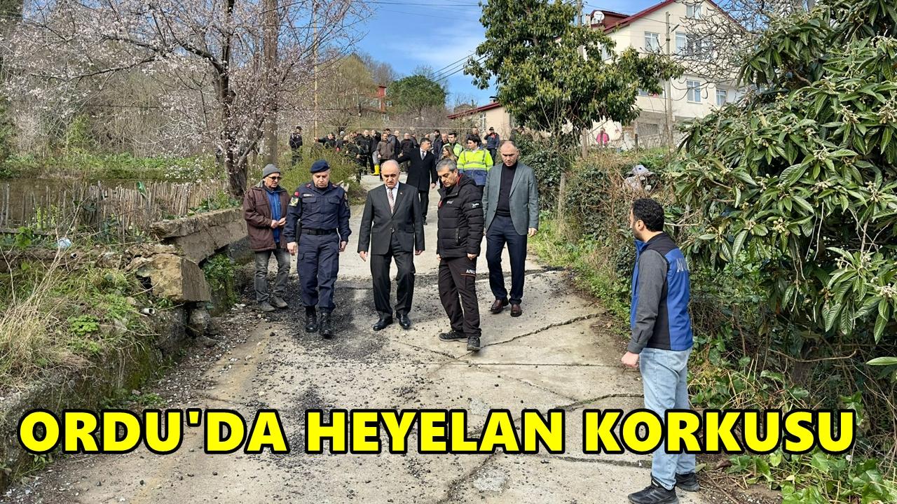 Ordu'da Heyelan: Vali Heyelan Bölgelerinde