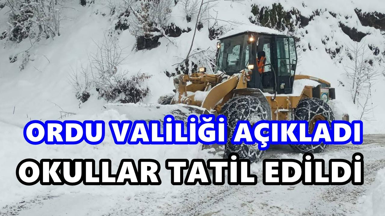 Ordu’da Kar Tatili: 9 İlçede Eğitime Tam Ara, Bazı İlçelerde Kısmi Tatil