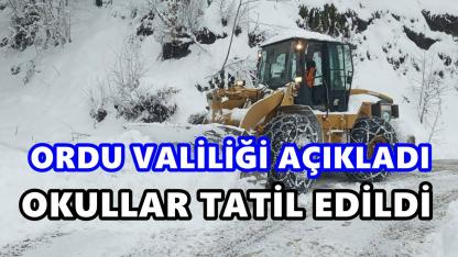 Ordu’da Kar Tatili: 9 İlçede Eğitime Tam Ara, Bazı İlçelerde Kısmi Tatil