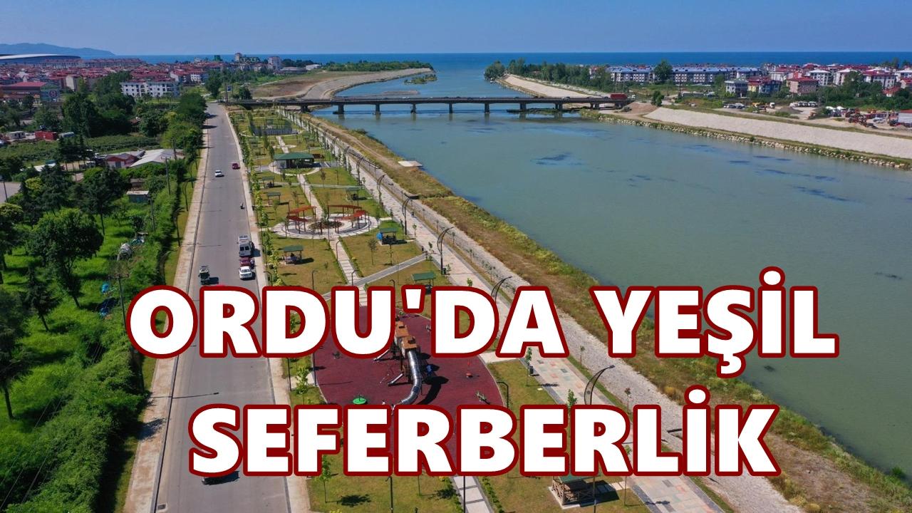 Ordu’da Yeşil Seferberlik: 7 Yılda Yeşil Alan %254 Arttı