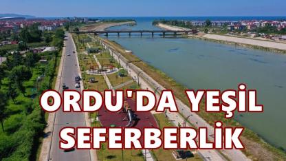 Ordu’da Yeşil Seferberlik: 7 Yılda Yeşil Alan %254 Arttı