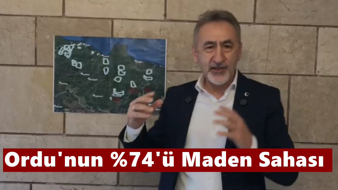 “Ordu’nun %74’ü maden sahası, 85 mahalle tehdit altında”