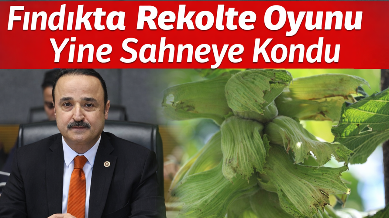 Şanlıtürk: Fındıkta Rekolte Oyunu Yine Sahneye Kondu