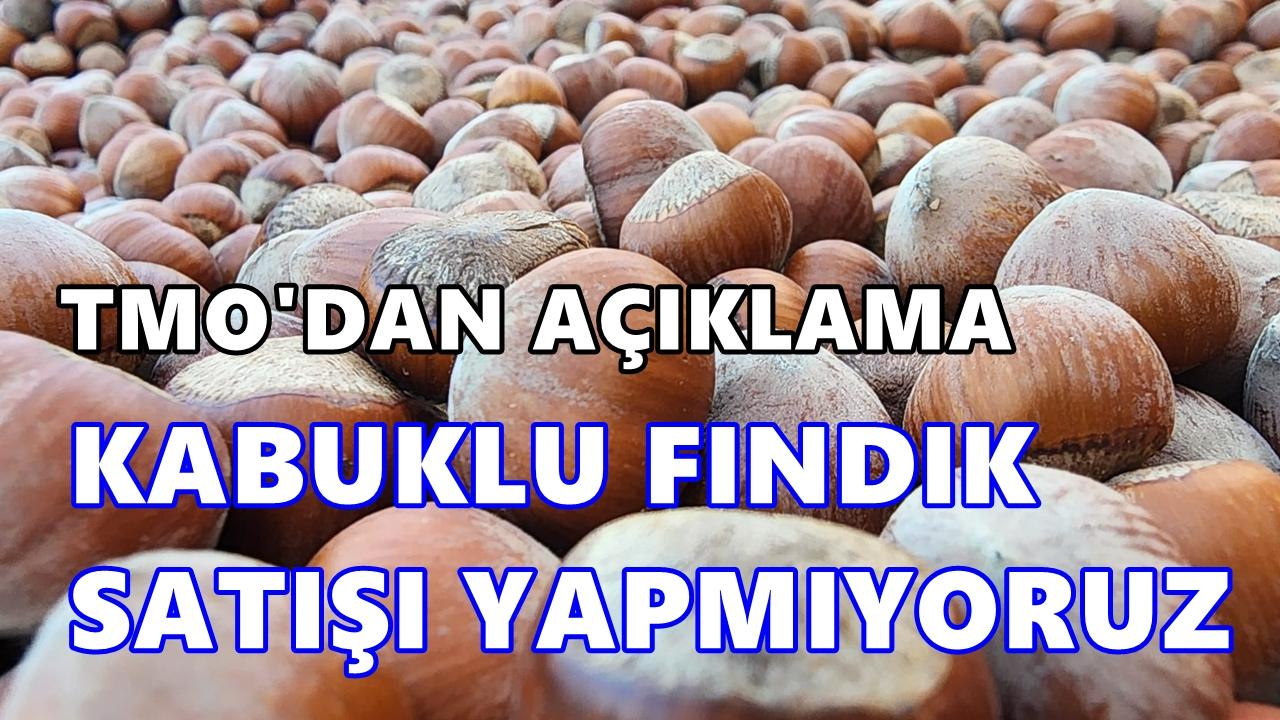 TMO: Kabuklu Fındık Satışı Yapılmıyor