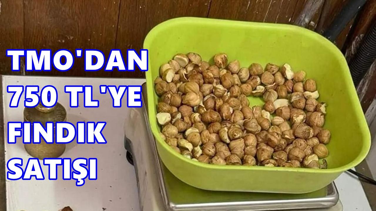 TMO’dan 750 TL’ye Fındık Satışı