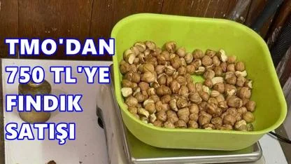 TMO’dan 750 TL’ye Fındık Satışı