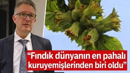 Türk Fındığı Pazarda Kan Kaybediyor: Düşüş %50’nin Üzerinde