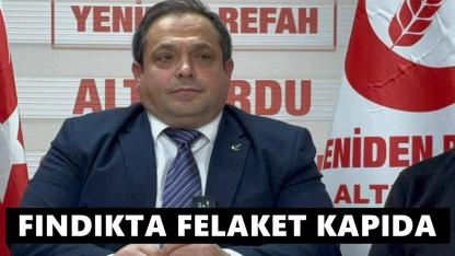 Üretici Yalnız Bırakıldı: Fındıkta Felaket Kapıda